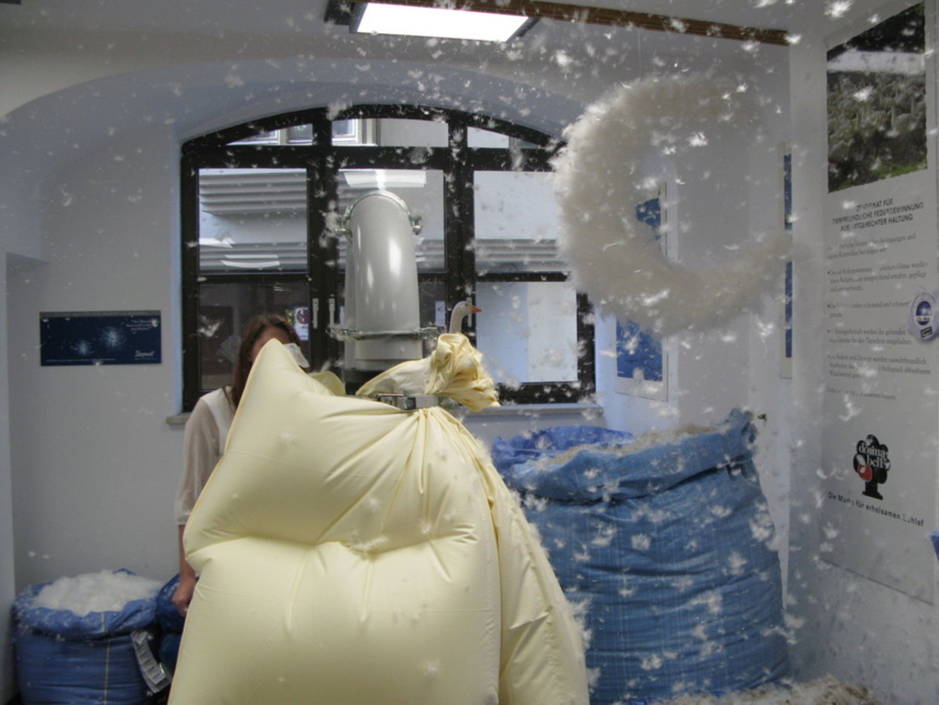 kissen und zudecken nach indi.jpg